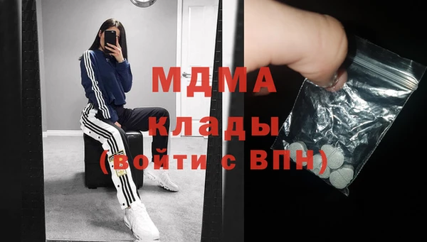 молекула духа Богородицк